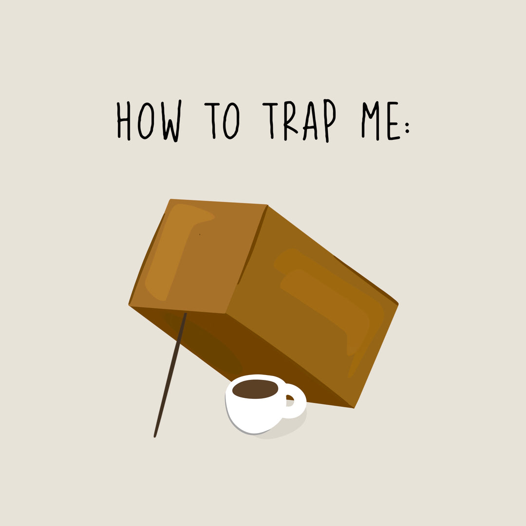 how to trap me print